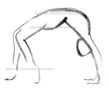 Urdhva Dhanurasana